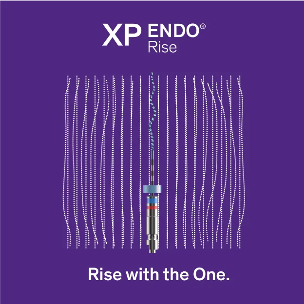 Rise with the One